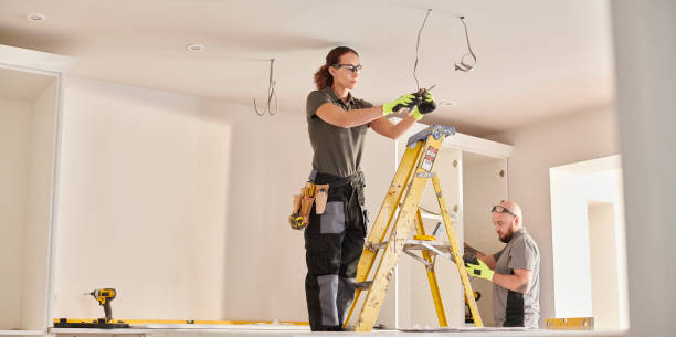 Best Electric Panel Repair  in Indian Head Park, IL